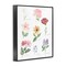 Stupell Industries Labeled Flower Varieties Framed Giclee, design by Lucille Price